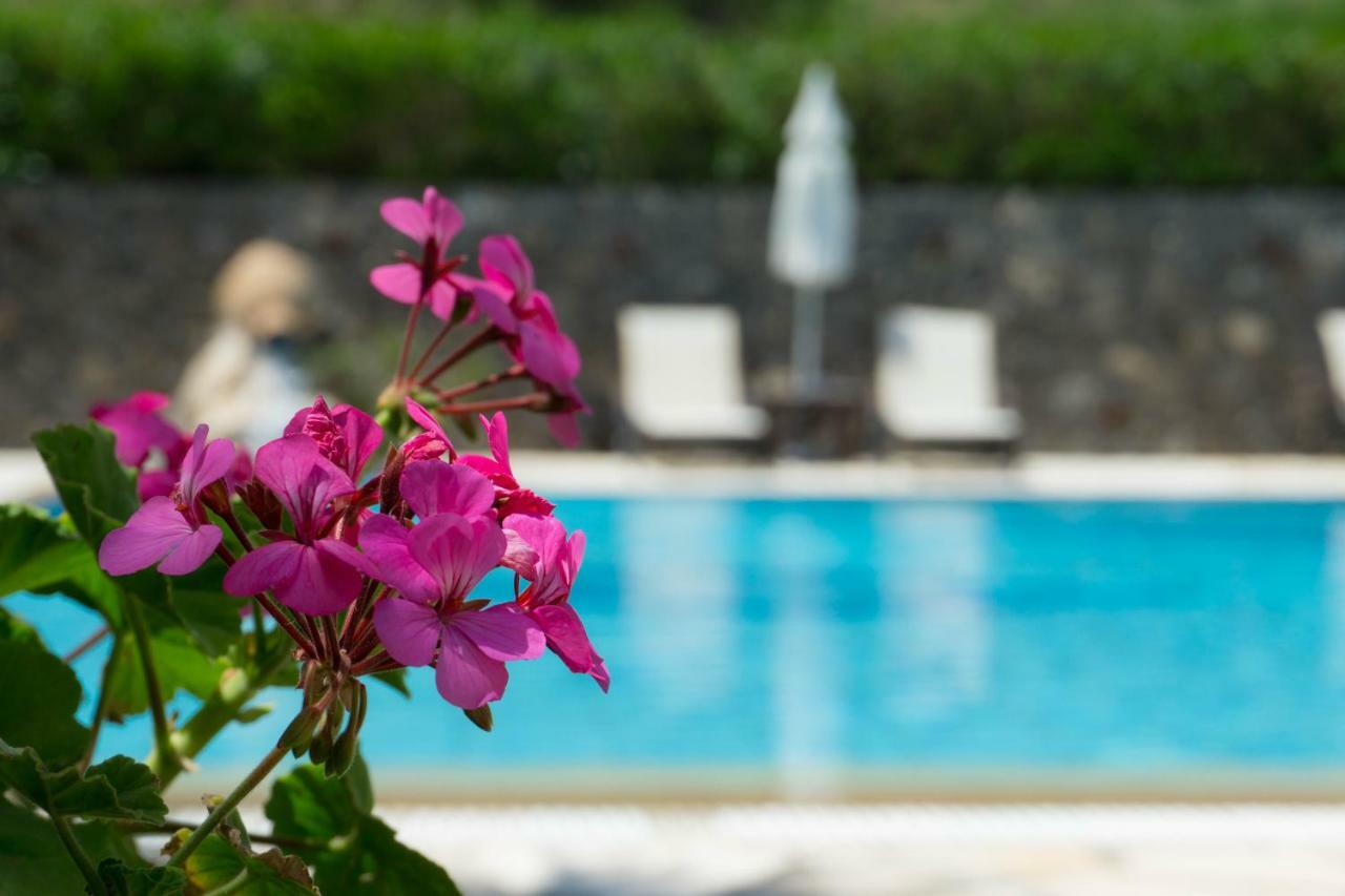 Venus Appart hôtel Sidárion